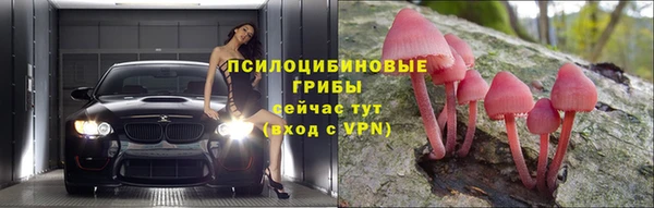 прущие грибы Алзамай