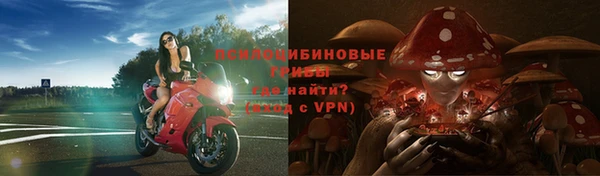 шишки Алексин
