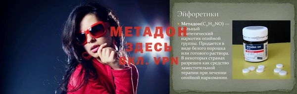 прущие грибы Алзамай