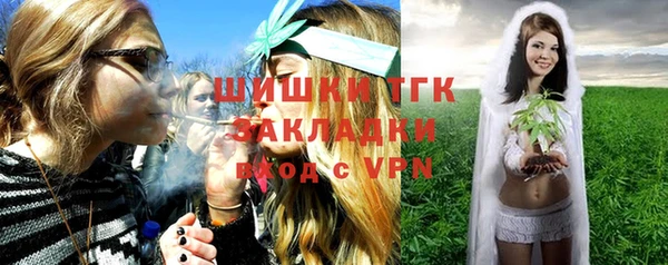 прущие грибы Алзамай