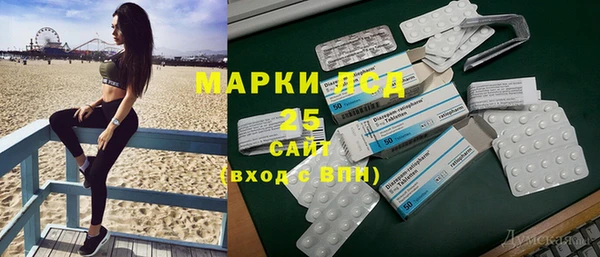 шишки Алексин