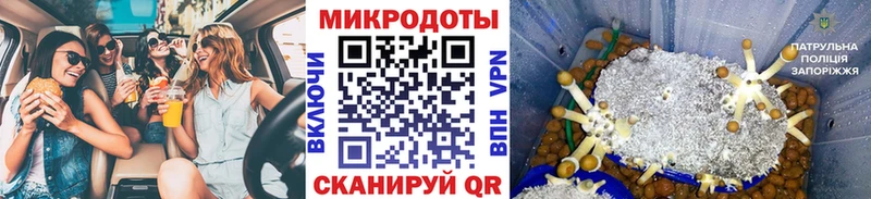 где можно купить наркотик  Сургут  Галлюциногенные грибы прущие грибы 