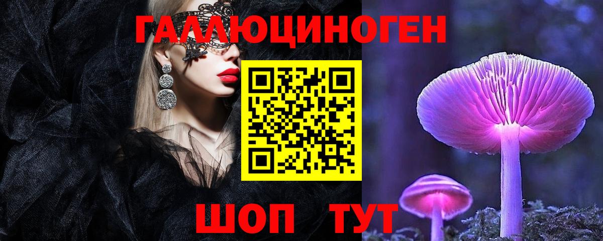 Псилоцибиновые грибы Cubensis Сургут